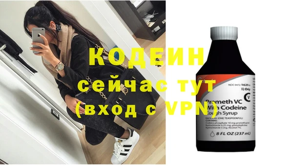 шишки Абаза