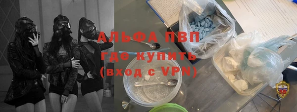 шишки Абаза