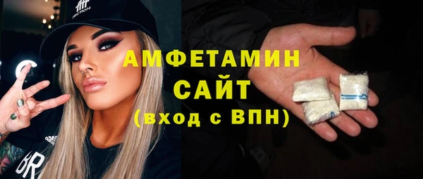 шишки Абаза
