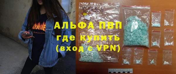 шишки Абаза