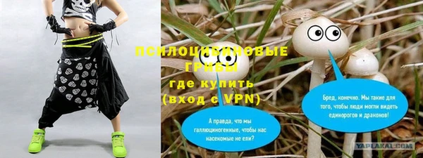 шишки Абаза