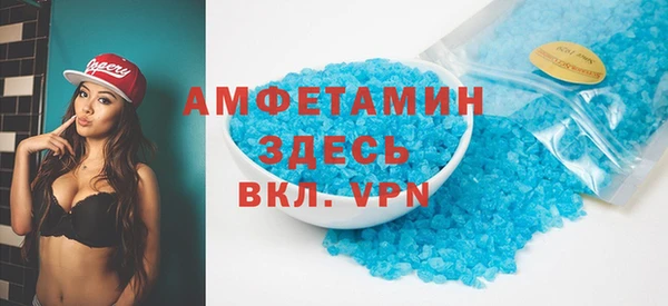шишки Абаза