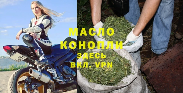 шишки Абаза
