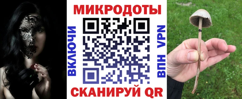 площадка состав  Калач  Галлюциногенные грибы MAGIC MUSHROOMS 