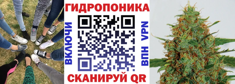 Шишки марихуана LSD WEED  где купить наркотик  MEGA tor  Калач 